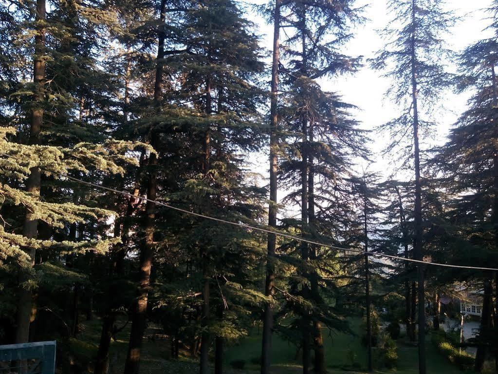 Torrentium Lodge Shimla Bagian luar foto