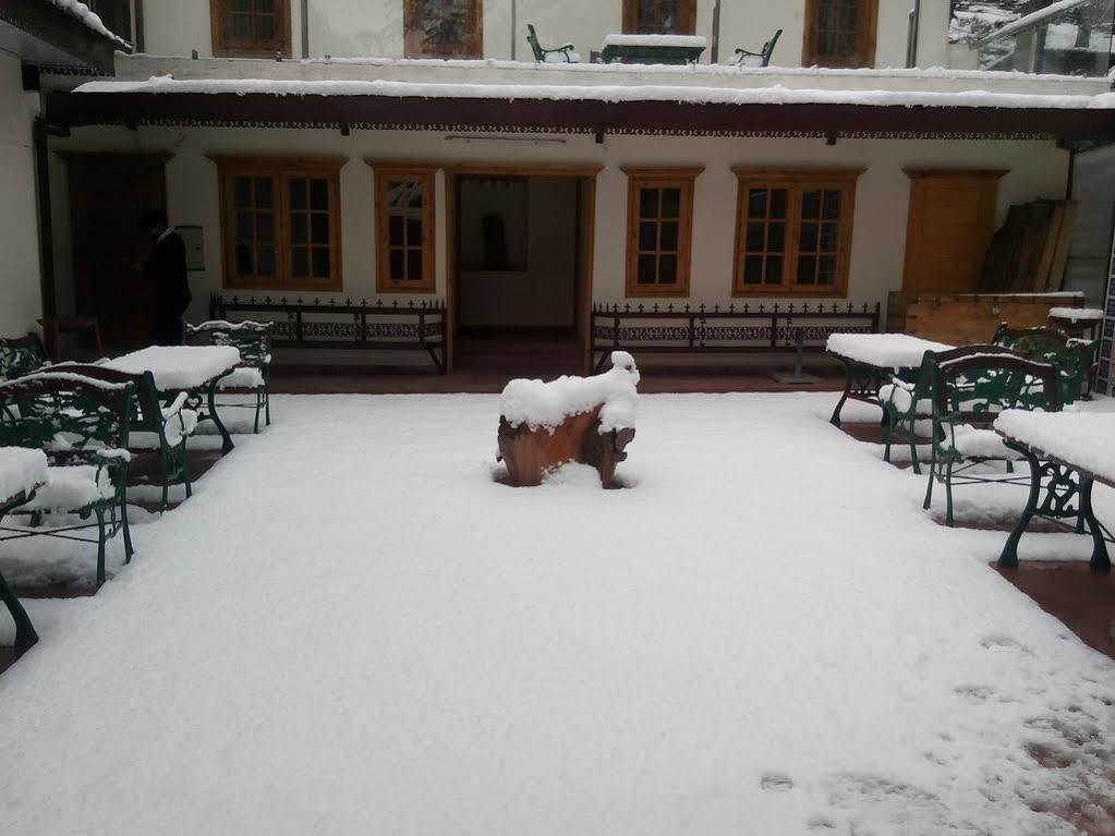 Torrentium Lodge Shimla Bagian luar foto